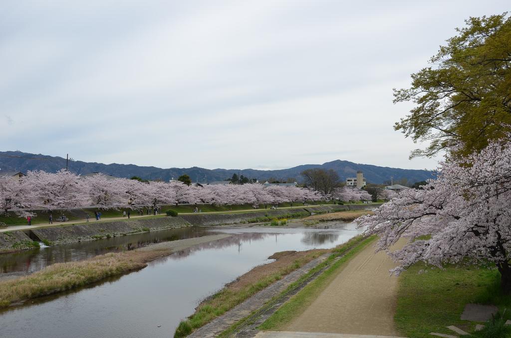 Tatamiya Inn Kyoto Buitenkant foto